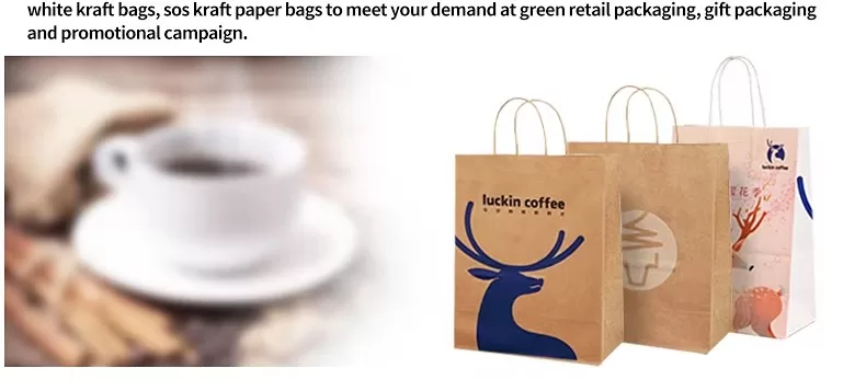 Custom Kraft Paper Bags with Die-Cut Handles – Personalized Recyclable Packaging with L... - SKU FPB90317 - UGI Packaging