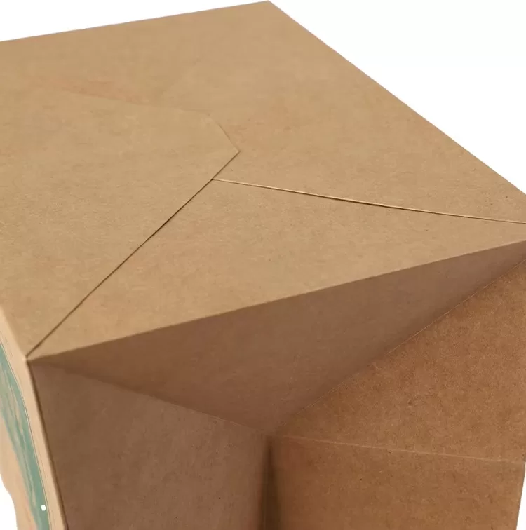 Eco-Friendly Brown Kraft Paper Takeout Bags – Biodegradable Recyclable Paper Bags with ... - SKU FPB90321 - UGI Packaging