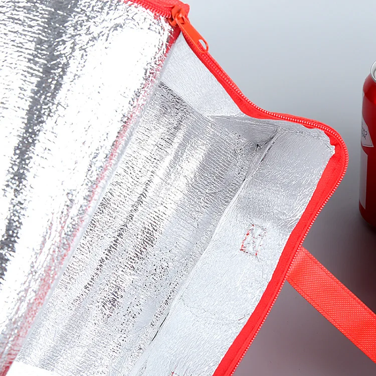 Portable Insulated Lunch Cooler Bag – Foldable Thermal Tote for Food, Drinks, Beer, Ice Packs – Reusable Delivery Bag for Work, Picnic, Camping, Outdoor Travel, Grocery & More 11