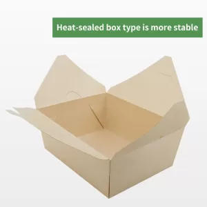 Biodegradable 2-Compartment Food Containers with Lids – Eco-friendly bamboo pulp meal b... - SKU FCL21257 - UGI Packaging