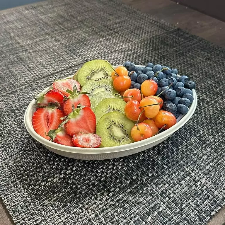 Sugarcane Plates and Food Containers – Compostable Biodegradable Disposable Tableware Set for Party, Picnic, Restaurants – Eco-Friendly Natural Bagasse Fiber Dinnerware - 图片 2