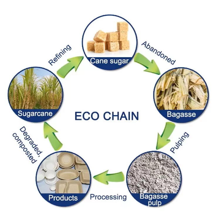 Sugarcane Bagasse Cutlery Set, Eco-Friendly Compostable Biodegradable – Disposable Spoo... - SKU BCS17158 - UGI Packaging