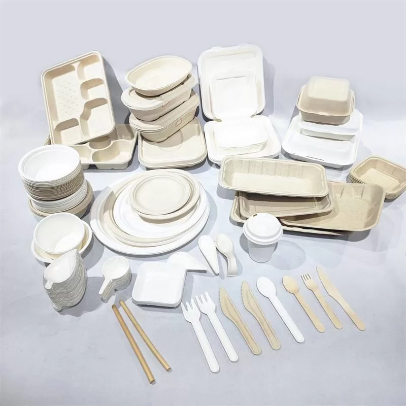 Sugarcane Bagasse Cutlery Set, Eco-Friendly Compostable Biodegradable – Disposable Spoo... - SKU BCS17158 - UGI Packaging