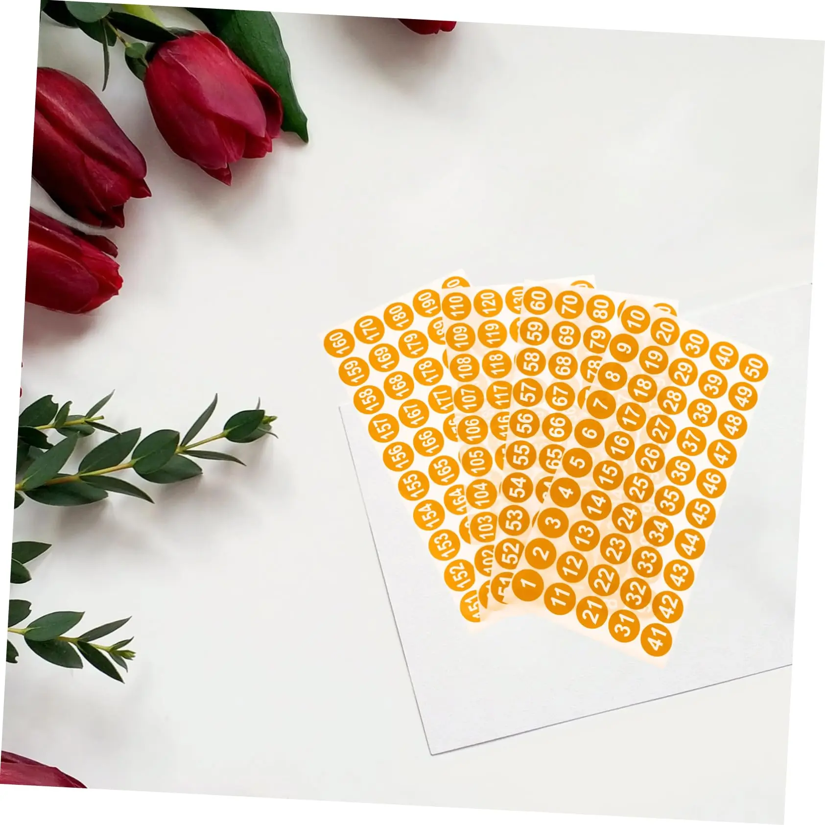 Digital Stickers – Custom Waterproof for Laptop, Phone, Car, Water Bottle, Skateboard, and Gift Box. Durable self-adhesive stickers with high-quality personalized digital printing for long-lasting use. - 图片 11