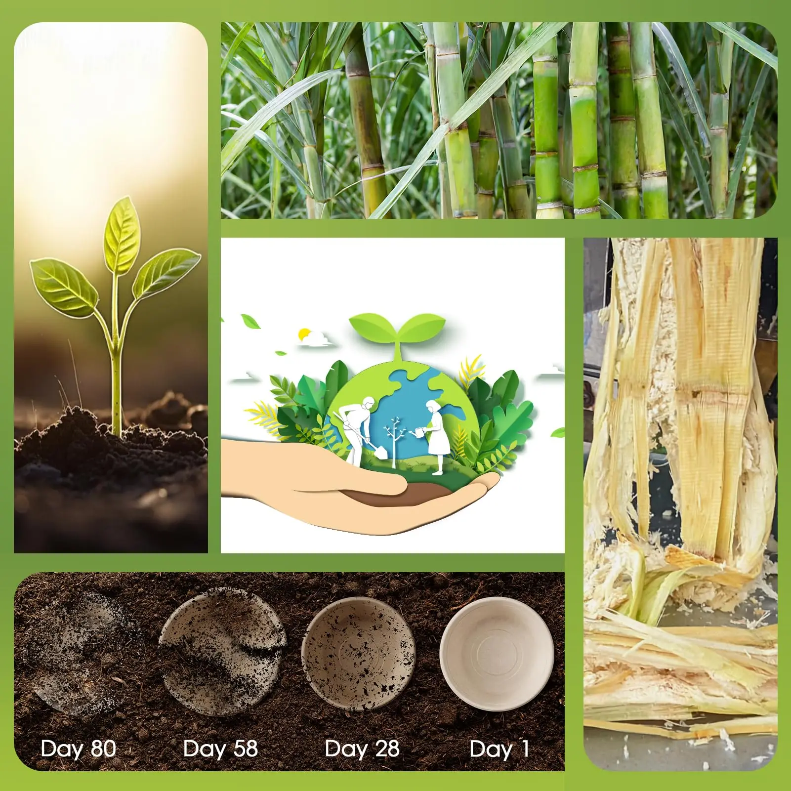 10/20/50PCS 100% Compostable Sugarcane Fiber Paper Bowls – Biodegradable Disposable Bowls for Dessert, Salad, Ice Cream, Oatmeal – Ideal for Holiday, Family Party, Picnic, and Event Use 10/20/50PCS 100% Compostable Sugarcane Fiber Paper Bowls – Biodegradable Disposable Bowls for Dessert, Salad, Ice Cream, Oatmeal – Ideal for Holiday, Family Party, Picnic, and Event Use