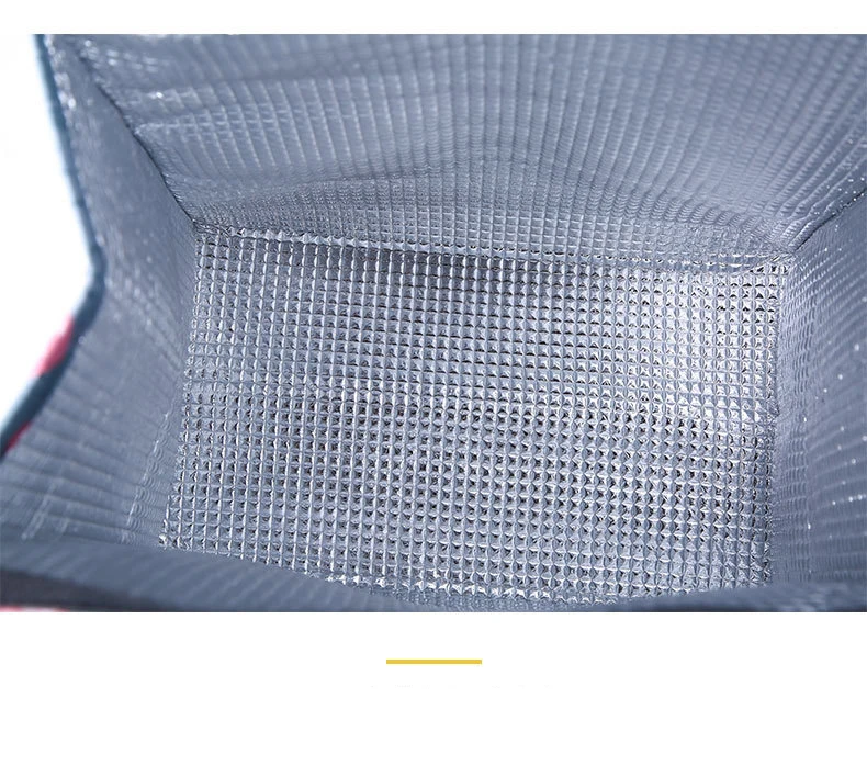 Insulated Thermal Cooler Bag Portable Lunch Storage Tote, Large Capacity Picnic and Camping Food Drink Carrier, Outdoor Leakproof Lunch Box Bag for Travel, Beach, Office, and Daily Use