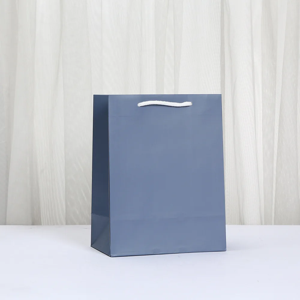 Colorful Paper Gift Bags – Shopping and Party Favor Bags with Rope Handles for Birthday, Wedding, Baby Shower, Retail Packaging, and Special Occasions, Versatile Gift Bag Set