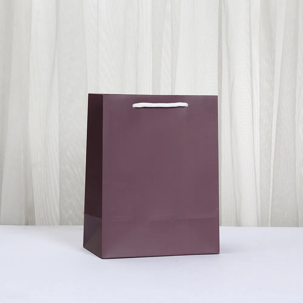 Colorful Paper Gift Bags – Shopping and Party Favor Bags with Rope Handles for Birthday, Wedding, Baby Shower, Retail Packaging, and Special Occasions, Versatile Gift Bag Set