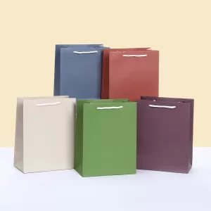 Colorful Paper Gift Bags – Shopping and Party Favor Bags with Rope Handles for Birthday, Wedding, Baby Shower, Retail Packaging, and Special Occasions, Versatile Gift Bag Set