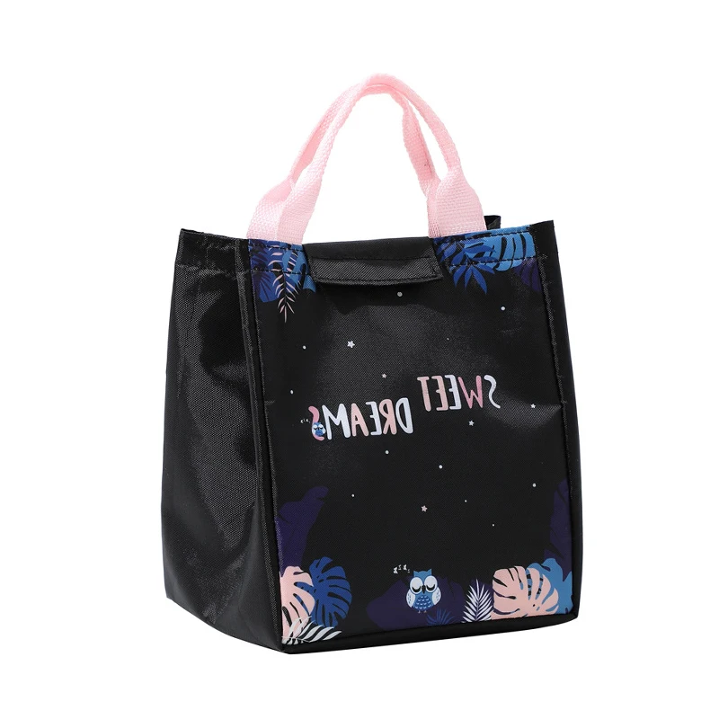 Kids Lunch Bag for School – Portable Cartoon Insulated Thermal Tote, Reusable Bento Pouch for Meals, Snacks, Drinks, and Lunches, Cooler Bag Handbag for Children, Picnic, Travel, and Daily Use