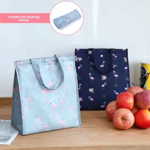 Waterproof Foldable Portable Lunch Bag – Insulated Lunch Box Tote Made of Oxford Cloth, Cooler Handbag for Picnic, Work, School, Travel, Keeping Food Fresh, Drinks and Snacks Temperature-Controlled