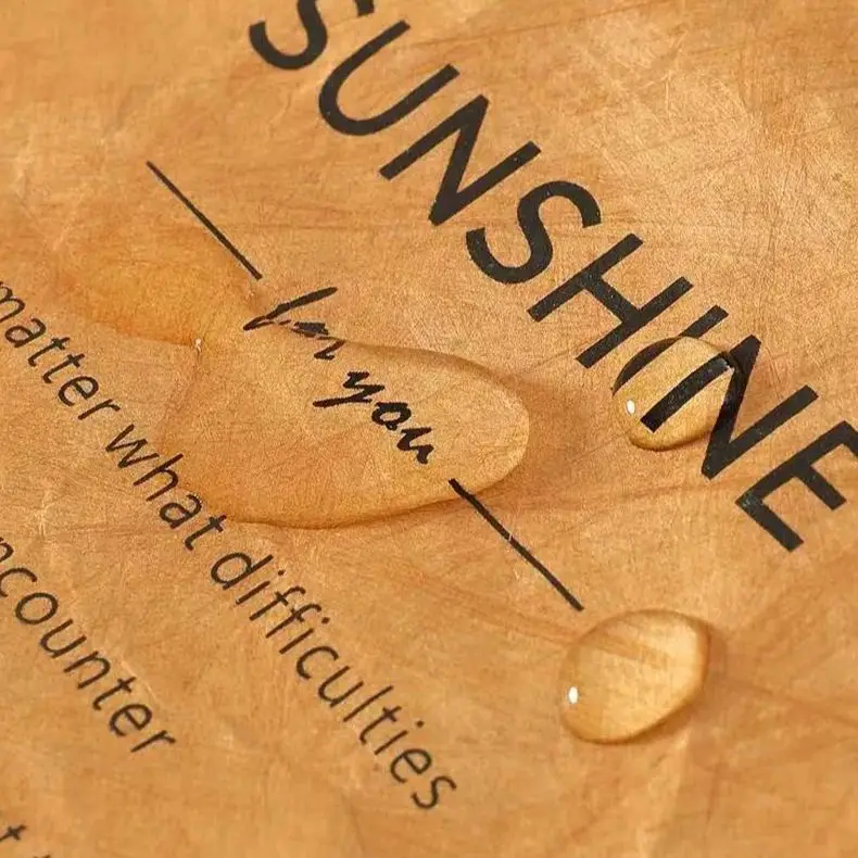 Waterproof Insulated Paper Lunch Bag – Extended and Thickened Aluminum Foil Lining, Japanese Style Handbag for Office Workers, Students, Travel, Picnic, Reusable Thermal Food Carrier Waterproof Insulated Paper Lunch Bag – Extended and Thickened Aluminum Foil Lining, Japanese Style Handbag for Office Workers, Students, Travel, Picnic, Reusable Thermal Food Carrier