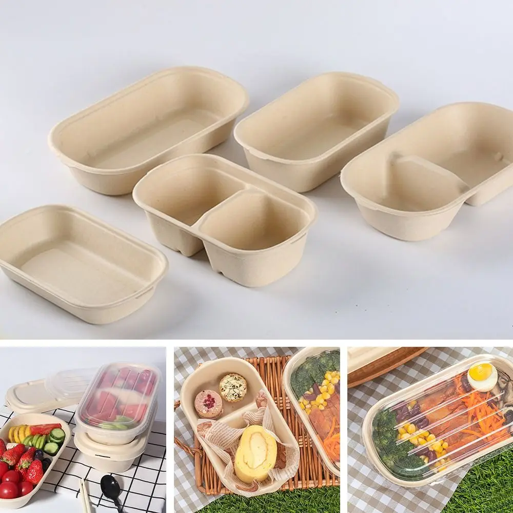 Eco-Friendly Paper Light Food Boxes 500ml/700ml/850ml/1000ml, Biodegradable Disposable Divided Salad Takeout Containers, Leak-Proof Lunch Bento Box for Hot & Cold Food, Picnic, Catering & Meal Prep