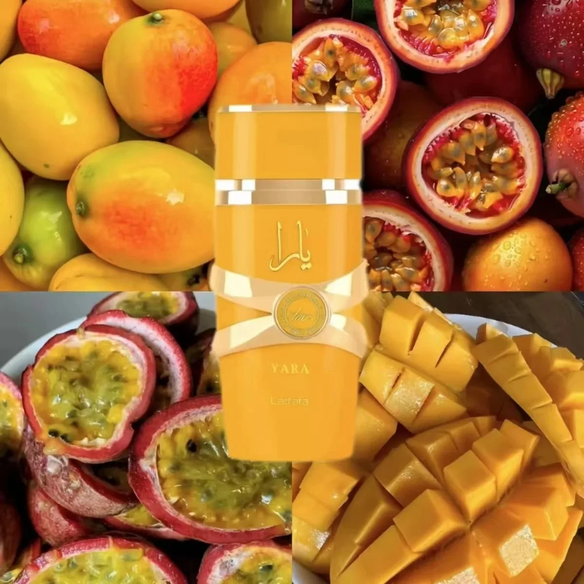 Luxury Empty Perfume Bottle & Gift Box – Refillable Unisex Container for Men and Women, Glass, PET, Acrylic, or Metal Bottle with Alloy, ABS, or Wooden Cap Options, Premium Paperboard, Kraft, or Recycled Box with Matte, Glossy, or Embossed Finish and Velvet, Satin, or EVA Foam Interior - 图片 5