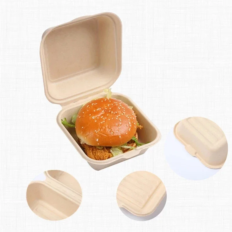10/20pcs Disposable Bento Lunch Boxes with Lids, Microwavable Food Containers for Salad, Burger, Cake, Snacks, Meal Prep, Takeout, Plus 140pcs Round Paper Doilies for Fried Food, Baking, Party Serving 2