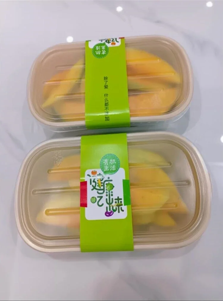 10Pcs Disposable Double Compartment Paper Lunch Boxes, Rectangular Takeout Food Containers, Eco-Friendly Pulp Salad Bento Packing Box, Biodegradable Meal Prep Containers for Picnic, Travel & Restaurant 5