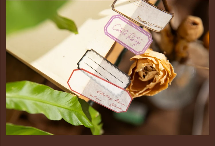 25mm x 2m Retro Simple Label Washi Sticker Tape Roll, Aesthetic Decorative Masking Tape for Collage, Planner, Scrapbook, Junk Journal, DIY Stationery, and Craft Packaging 9