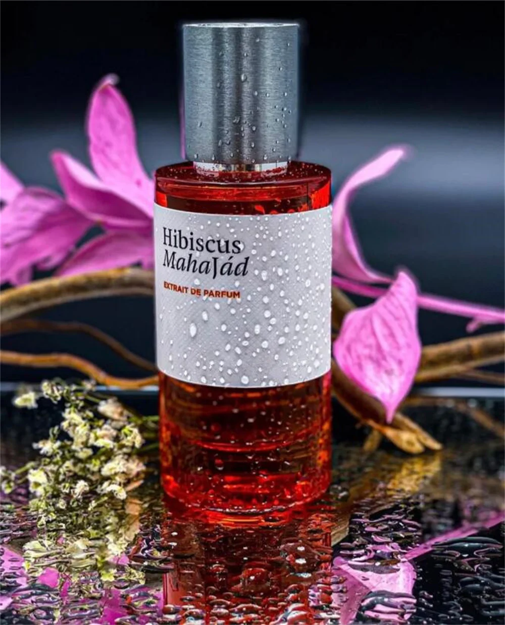 Hibiscus Mahajad 100ML Unisex Perfume Bottle with Fine Mist Spray and Luxury Gift Box, Multiple Materials Including Glass, Acrylic, PET or Metal, Oud Stallion Maracuja Fragrance for Men and Women, Arabic Style Long-Lasting Cologne - 图片 5