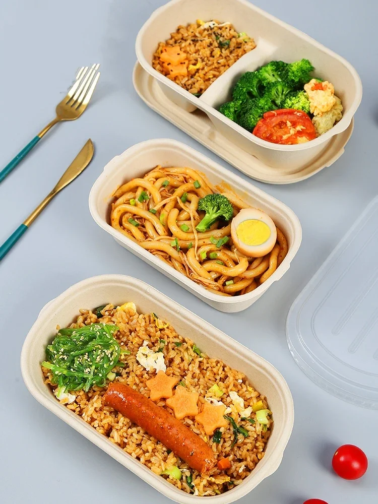 10Pcs Disposable Double Compartment Paper Lunch Boxes, Rectangular Takeout Food Containers, Eco-Friendly Pulp Salad Bento Packing Box, Biodegradable Meal Prep Containers for Picnic, Travel & Restaurant