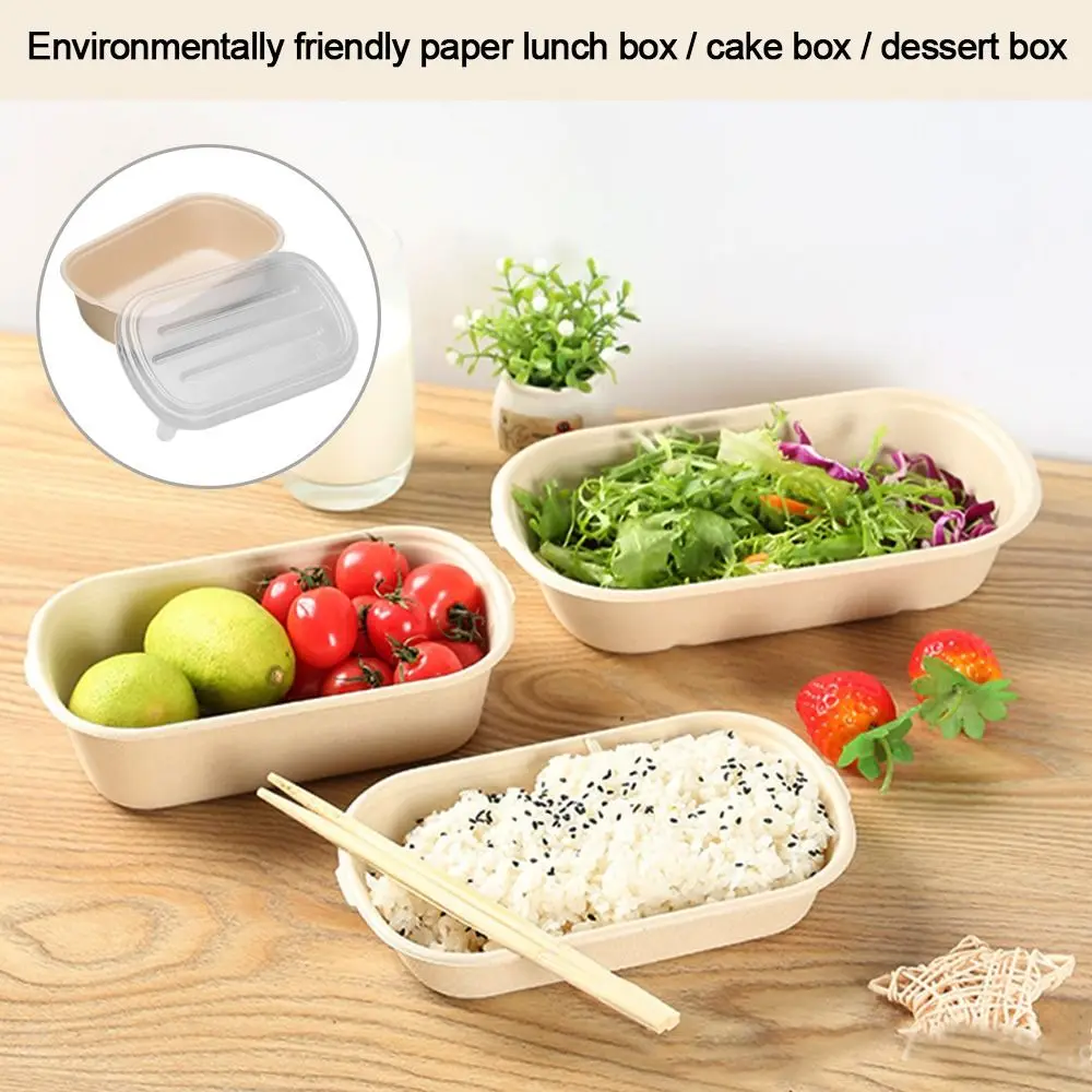 500ml 700ml 850ml 1000ml Disposable Paper Food Containers with Lids, Eco-Friendly Pulp Salad Lunch Box, Oil-Proof Takeout Bento Box for Hot Cold Meals, Recyclable Degradable To-Go Packaging 15