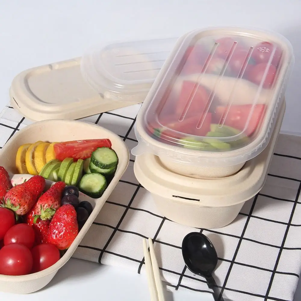Eco-Friendly Paper Light Food Boxes 500ml/700ml/850ml/1000ml, Biodegradable Disposable Divided Salad Takeout Containers, Leak-Proof Lunch Bento Box for Hot & Cold Food, Picnic, Catering & Meal Prep 14
