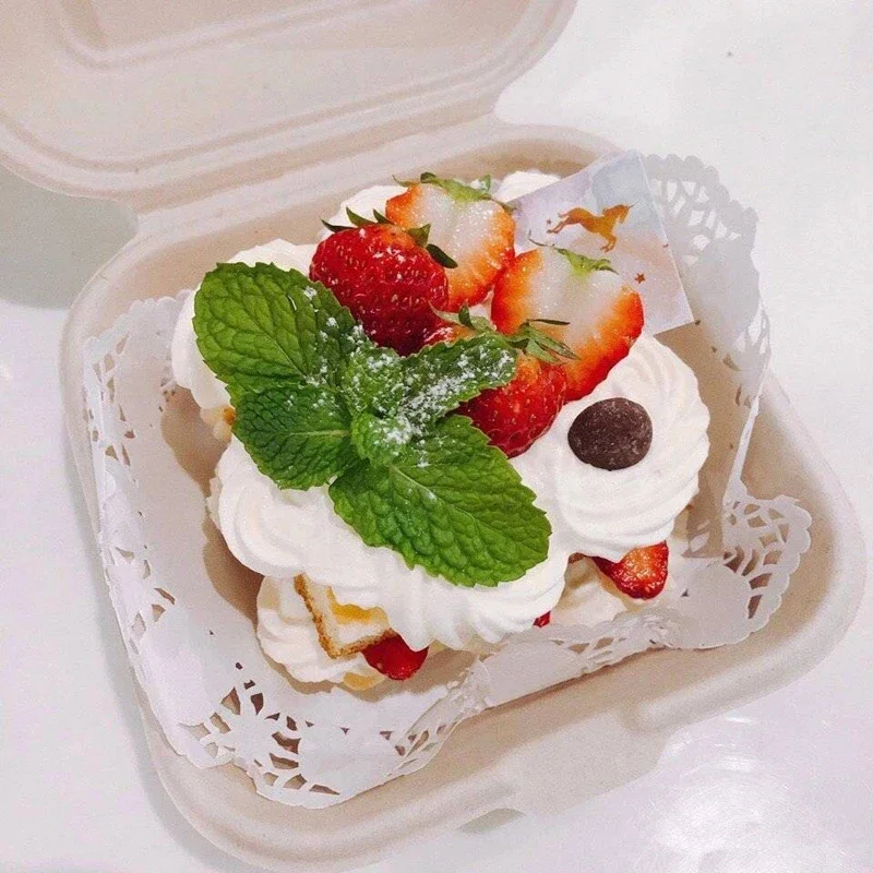 10/20pcs Disposable Bento Lunch Boxes with Lids, Microwavable Food Containers for Salad, Burger, Cake, Snacks, Meal Prep, Takeout, Plus 140pcs Round Paper Doilies for Fried Food, Baking, Party Serving 4