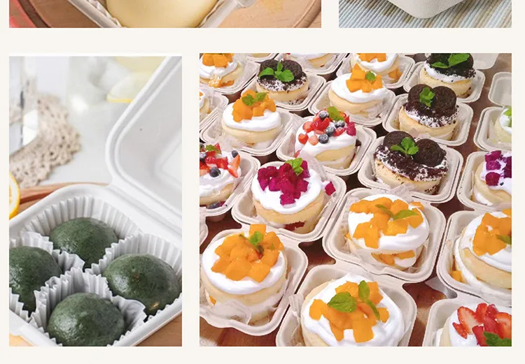 20/10pcs Disposable Bento Food Containers, Biodegradable Sugarcane & Wheat Straw Lunchboxes for Desserts, Cakes, Burgers, Snacks, Microwavable Meal Prep, Eco-Friendly Home Takeout Packaging 9