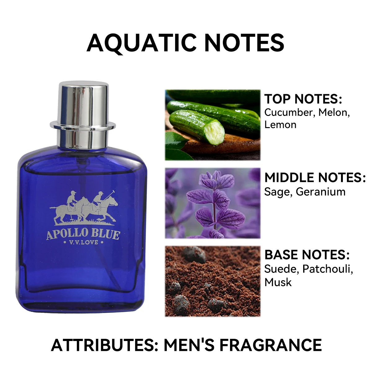 30ML Apollo Men's Perfume Bottle with Fine Mist Spray and Luxury Gift Box, Multiple Material Options Including Glass, Acrylic, PET or Metal, Long-Lasting Pheromone Cologne Inspired by Polo EDP for Retail, Gifting, and Factory Direct Orders - 图片 9