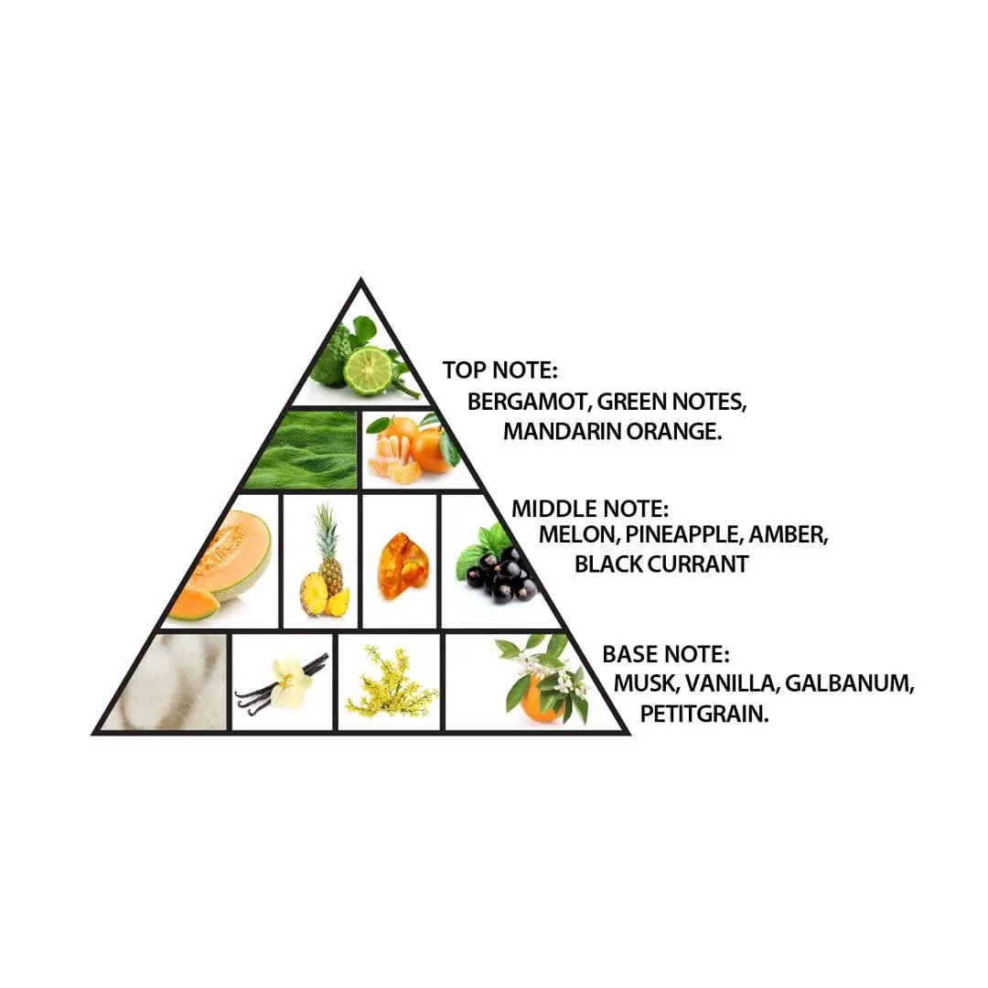 Luxury Empty Perfume Bottle with Gift Box – Refillable Unisex Cologne Container, Glass, PET, Acrylic, or Metal Bottle with Alloy, ABS, or Wooden Cap Options, Premium Paperboard, Kraft, or Recycled Box with Matte, Glossy, or Embossed Finish and Velvet, Satin, or EVA Foam Interior - 图片 3