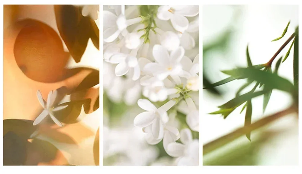 Premium 3-Piece Men’s Perfume Bottle Set with Gift Box – Multi-Material Crystal, Glass, Ceramic, Acrylic, Wood & Metal Spray Containers with Weighted Base, Satin-Lined Rigid Packaging for Luxury Display, Travel, and Gifting 5