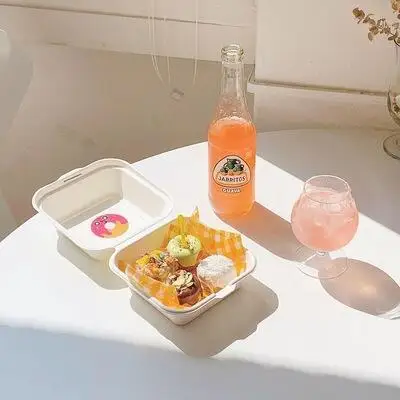 20/10pcs Disposable Bento Food Containers, Biodegradable Sugarcane & Wheat Straw Lunchboxes for Desserts, Cakes, Burgers, Snacks, Microwavable Meal Prep, Eco-Friendly Home Takeout Packaging 3