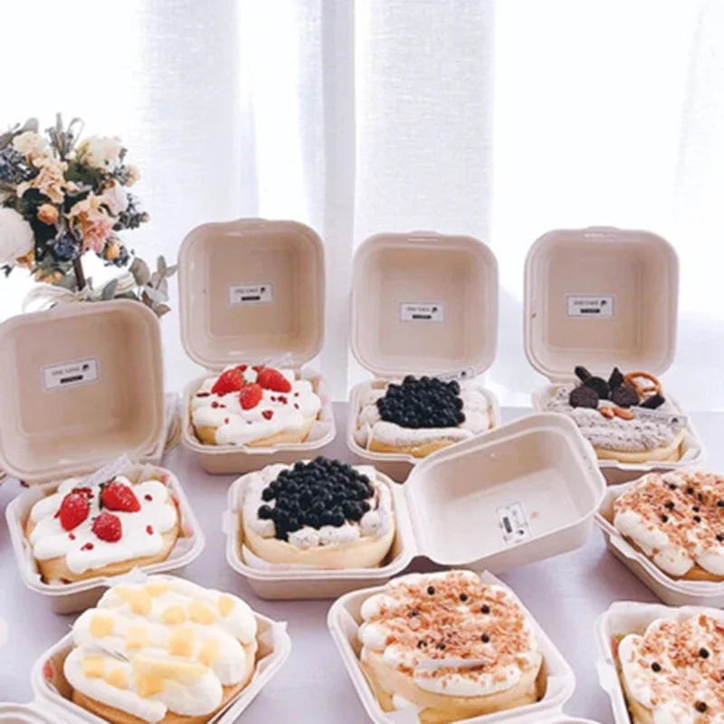 10/20pcs Disposable Bento Lunch Boxes with Lids, Microwavable Food Containers for Salad, Burger, Cake, Snacks, Meal Prep, Takeout, Plus 140pcs Round Paper Doilies for Fried Food, Baking, Party Serving 3