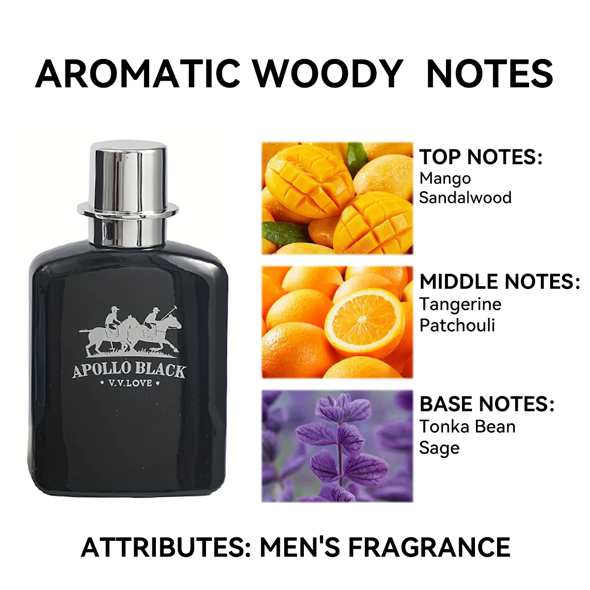 30ML Apollo Men's Perfume Bottle with Fine Mist Spray and Luxury Gift Box, Multiple Material Options Including Glass, Acrylic, PET or Metal, Long-Lasting Pheromone Cologne Inspired by Polo EDP for Retail, Gifting, and Factory Direct Orders 5